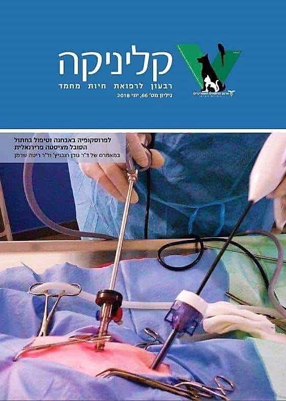 חדר התאוששות לחיות מחמד